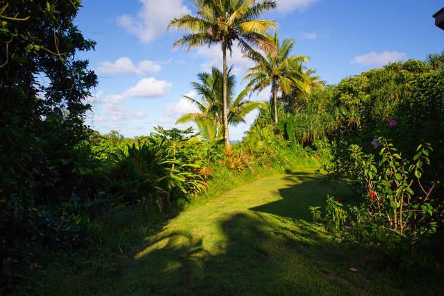 Kirpal Meditation And Ecological Center Pahoa Exterior photo
